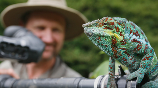 ライフ −いのちをつなぐ物語− 3枚目の写真・画像