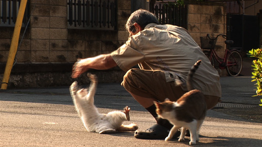 Peace 4枚目の写真・画像