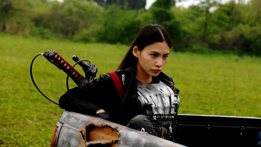 ヘルドライバー 1枚目の写真・画像