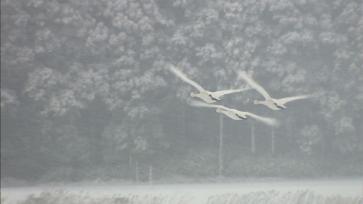 私たちの時代 10枚目の写真・画像
