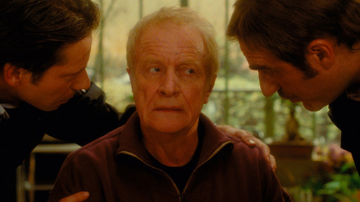 風にそよぐ草 2枚目の写真・画像