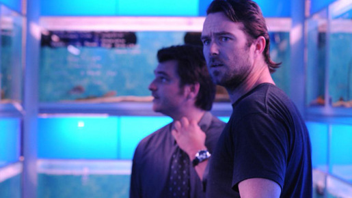 アニマル・キングダム 9枚目の写真・画像