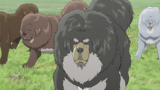 チベット犬物語 金色のドージェ 6枚目の写真 画像 Cinemacafe Net