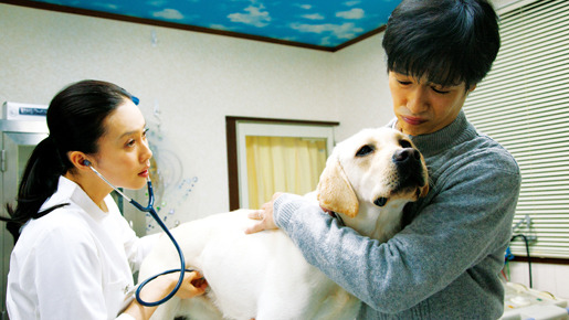 ひまわりと子犬の7日間 4枚目の写真・画像