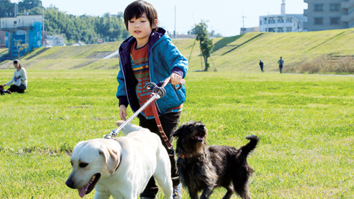 ひまわりと子犬の7日間 10枚目の写真・画像