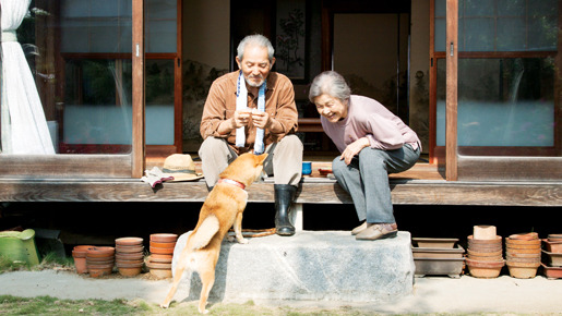 ひまわりと子犬の7日間 13枚目の写真・画像