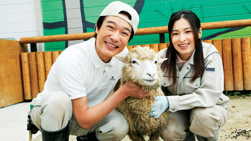 ひまわりと子犬の7日間 16枚目の写真・画像