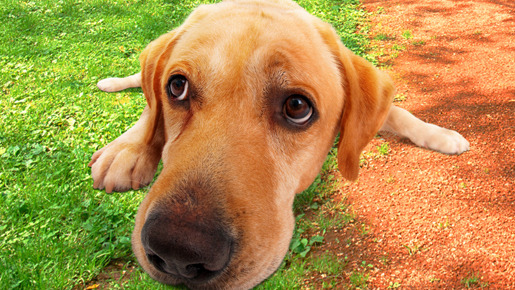 LOVE　まさお君が行く！ 1枚目の写真・画像