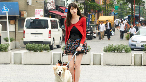 青いソラ白い雲 1枚目の写真・画像