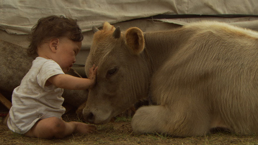 ベイビーズ-いのちのちから- 4枚目の写真・画像