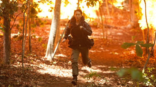 ハンガー・ゲーム 4枚目の写真・画像