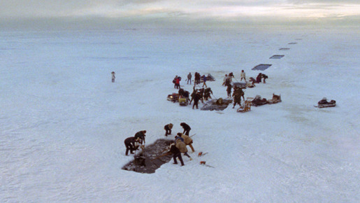 だれもがクジラを愛してる。 11枚目の写真・画像