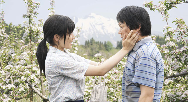 奇跡のリンゴ 1枚目の写真・画像