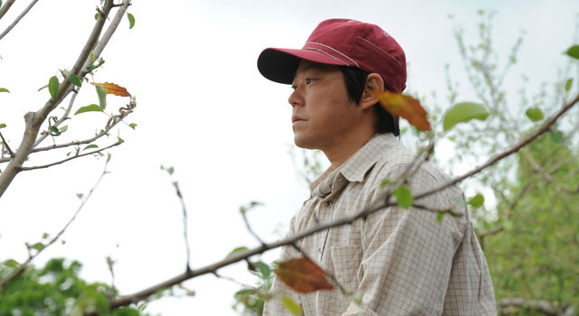 奇跡のリンゴ 9枚目の写真・画像