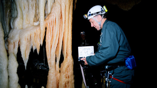 世界最古の洞窟壁画 35mm 忘れられた夢の記憶 4枚目の写真・画像