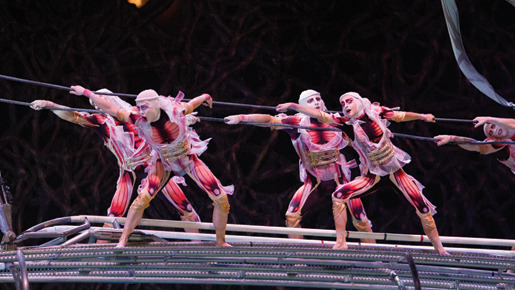 シルク ドゥ ソレイユ 3d 彼方からの物語21枚目の写真 画像 Cinemacafe Net