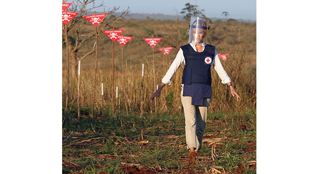 ダイアナ 2枚目の写真・画像