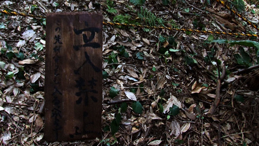 行方不明 2枚目の写真・画像