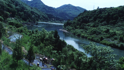 阿賀に生きる 4枚目の写真・画像