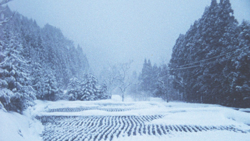 阿賀に生きる 8枚目の写真・画像