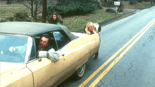 カリフォルニア・ドールズ 4枚目の写真・画像