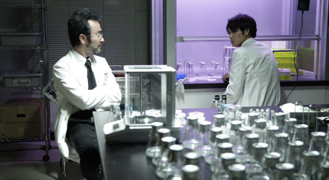 シャニダールの花 9枚目の写真・画像