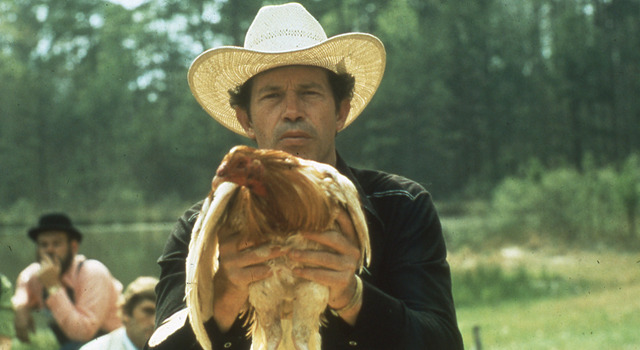 コックファイター 1枚目の写真・画像