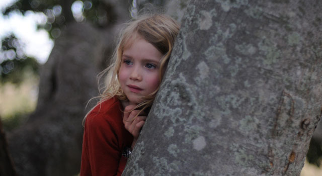 パパの木 4枚目の写真・画像