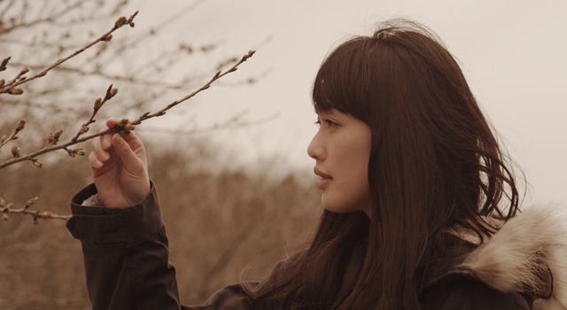 桜並木の満開の下に 1枚目の写真・画像