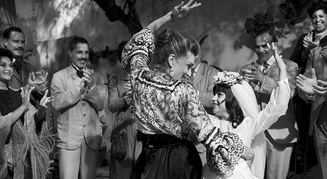 ブランカニエベス 3枚目の写真・画像