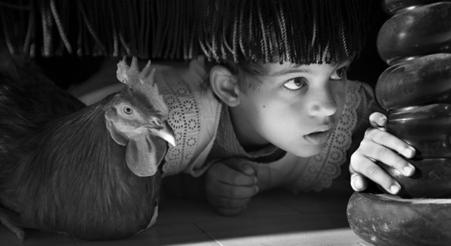 ブランカニエベス 4枚目の写真・画像