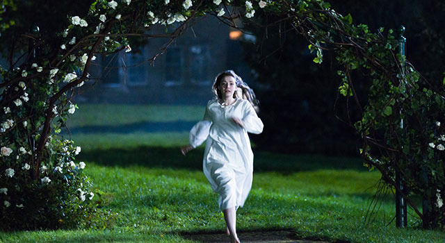 モスダイアリー 2枚目の写真・画像