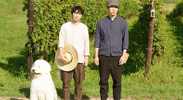 ぶどうのなみだ 3枚目の写真・画像