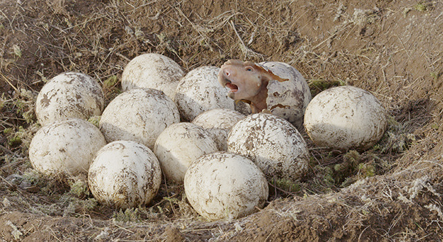 ウォーキング with ダイナソー 5枚目の写真・画像