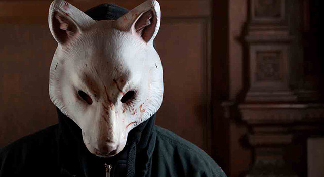 サプライズ 1枚目の写真・画像