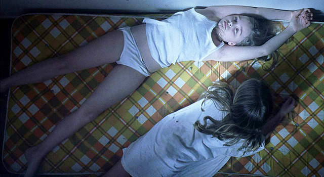 早熟のアイオワ 3枚目の写真・画像