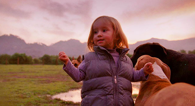 闇のあとの光 1枚目の写真・画像