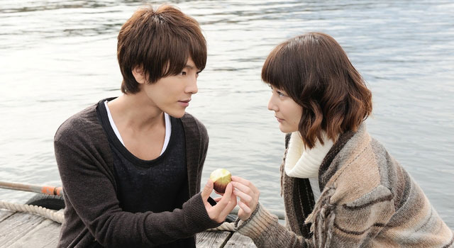 無花果の森 1枚目の写真・画像