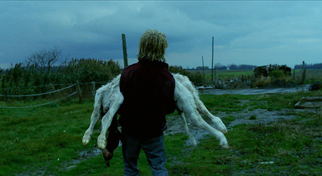 トム・アット・ザ・ファーム 6枚目の写真・画像