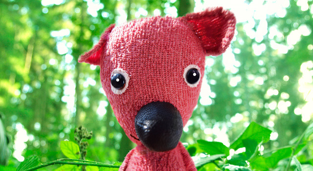 クーキー 2枚目の写真・画像