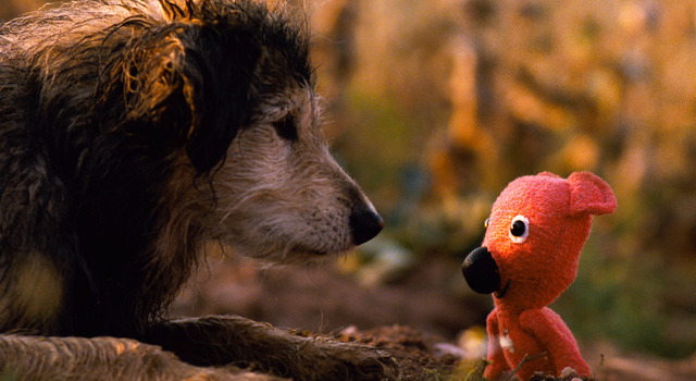 クーキー 6枚目の写真・画像