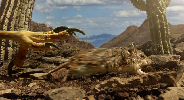 小さな世界はワンダーランド 2枚目の写真・画像