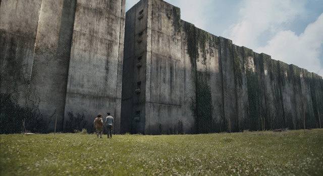 メイズ・ランナー 2枚目の写真・画像