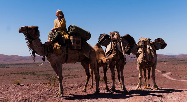 奇跡の2000マイル 5枚目の写真・画像