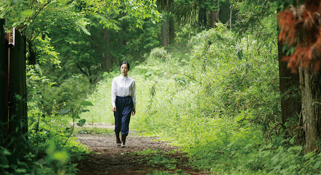 岸辺の旅 7枚目の写真・画像