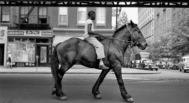 ヴィヴィアン・マイヤーを探して 3枚目の写真・画像