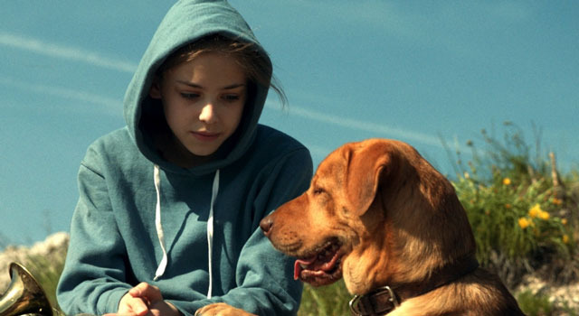 ホワイト・ゴッド　少女と犬の狂詩曲 2枚目の写真・画像