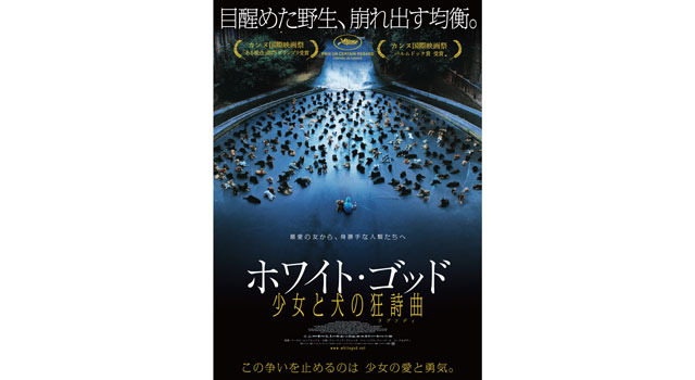 ホワイト・ゴッド　少女と犬の狂詩曲 6枚目の写真・画像