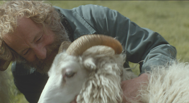 ひつじ村の兄弟 1枚目の写真・画像