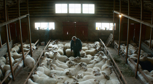 ひつじ村の兄弟 5枚目の写真・画像